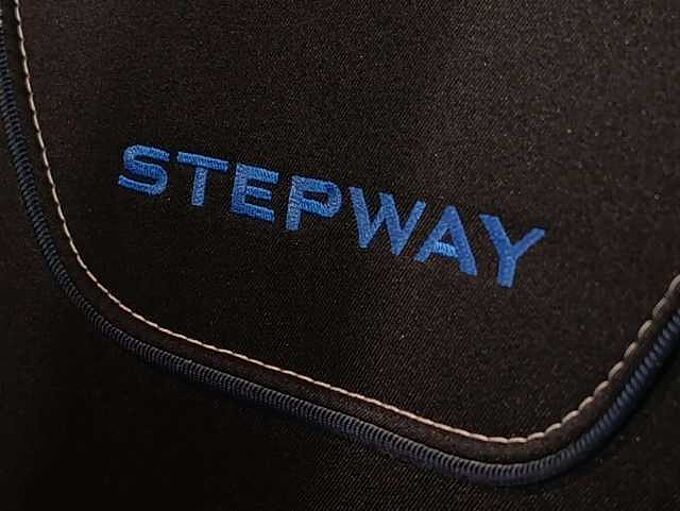 Dacia Sandero 1.0 TCe Stepway Anniversary *Garantie *GPS* Clim*